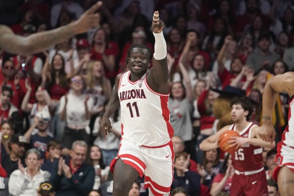 Arizona college basketball new arrivals